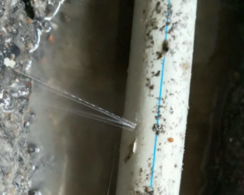 辽阳卫生间测漏水多少钱
